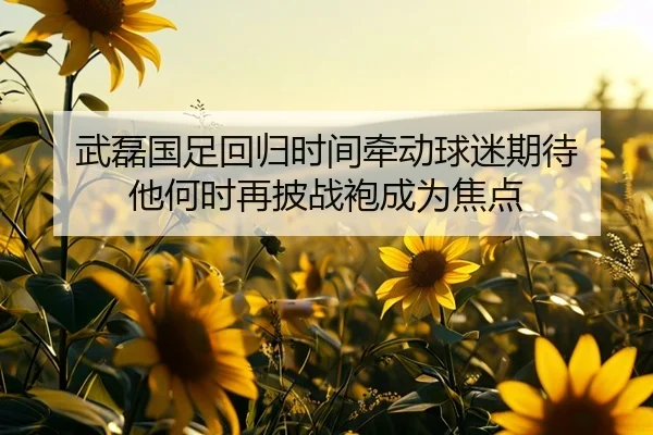 武磊国足回归时间牵动球迷期待 他何时再披战袍成为焦点（ningyule）